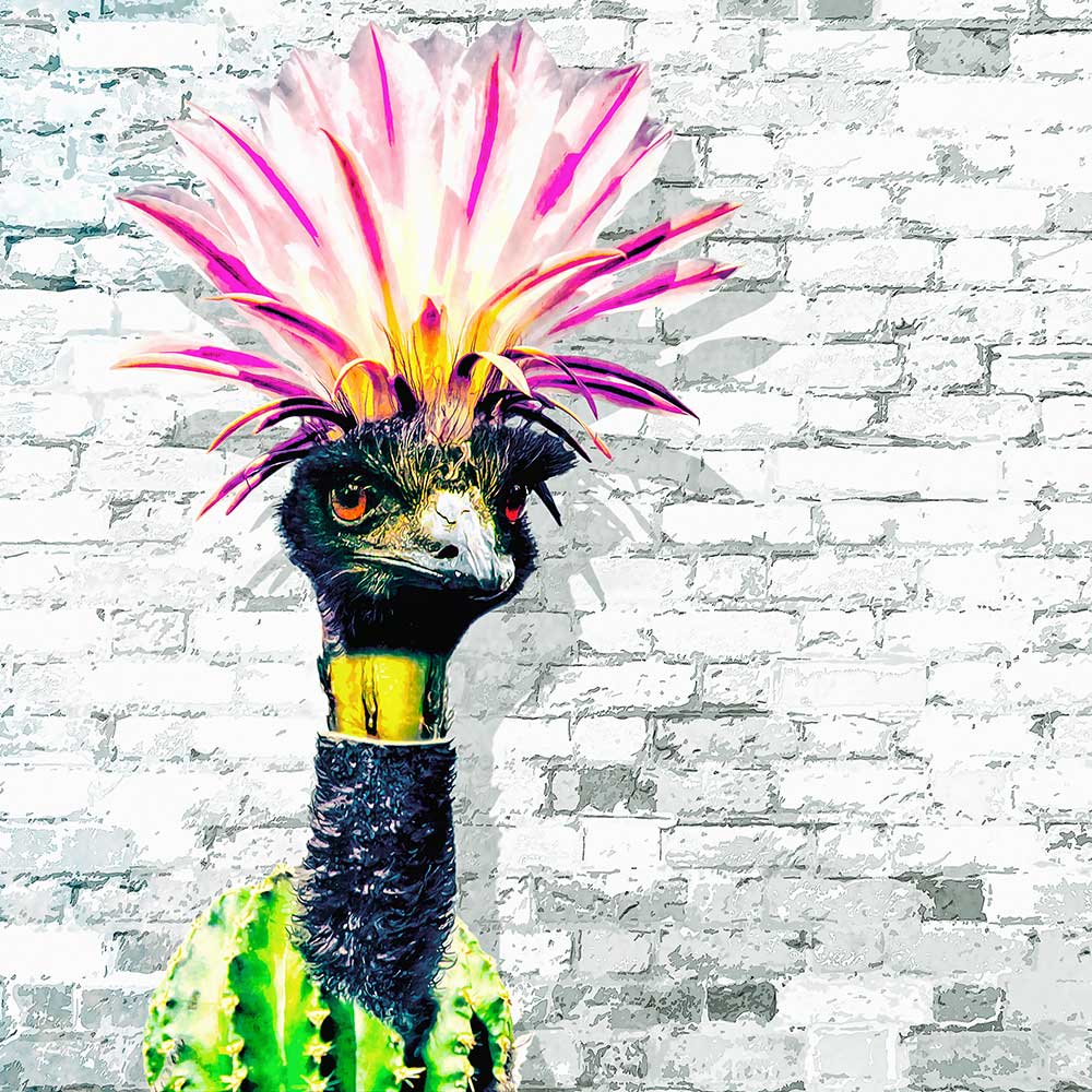Fotomanipulatie emoe met een cactus
