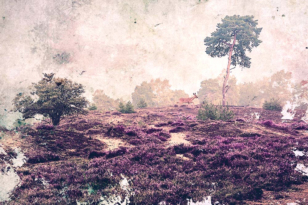 Ree_op-de_heide72dpi