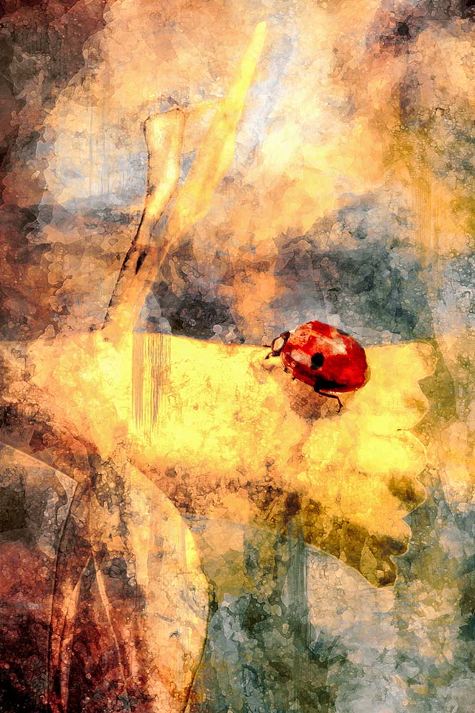 Abstract beeld van een narcis en lieveheersbeestje