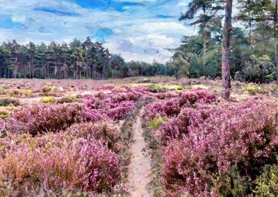 Wandelen door de paarse stilte