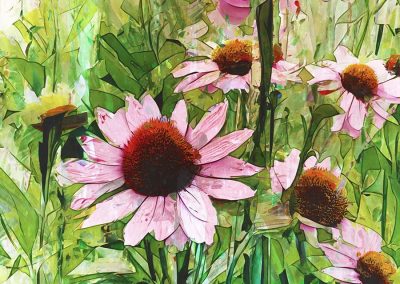 Zonnehoed bloemen in volle bloei uit eigen tuin II